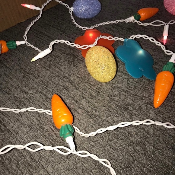 Easter Spring string lights ..custom… - Picture 3 of 8